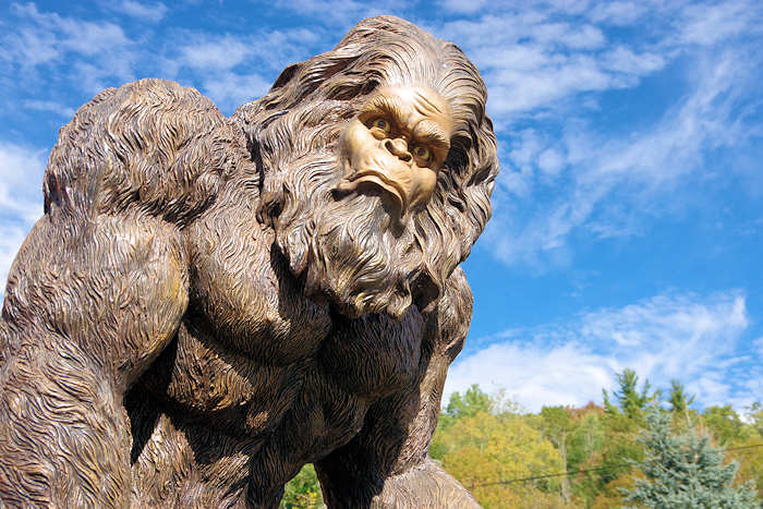 WNC Bigfoot Festival – Blue Ridge Distilling Co