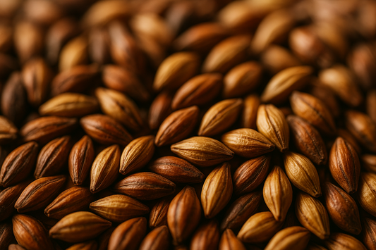Close-up of malted barley grains, showing texture and color variations.