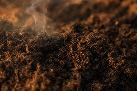 Close-up of peat moss texture with a hint of smoke curling above.